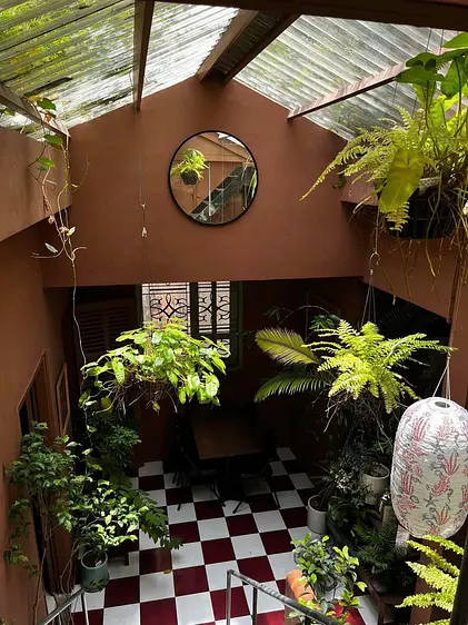 サオサク カフェ＆プランツ