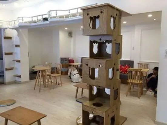 イチキャットカフェ