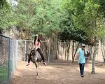 ダイナム公園