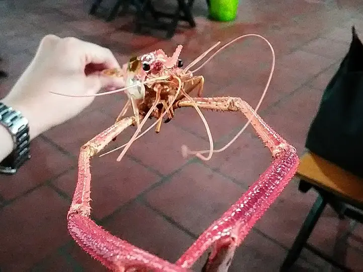 初心者でも釣れる！娯楽の定番「エビ釣り」を楽しもう