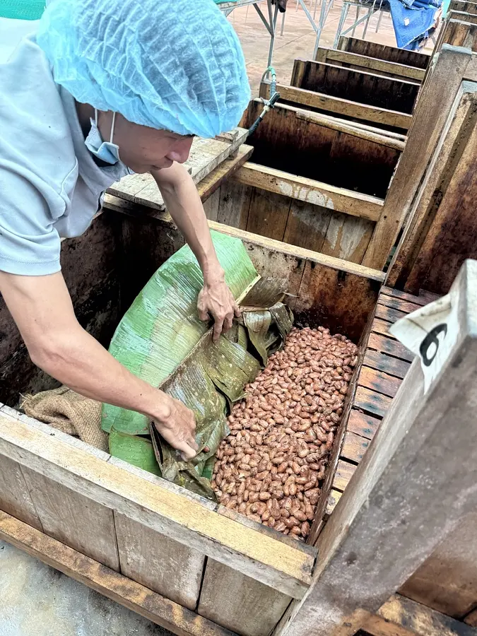 BINON CACAO の物語【後編】—ベトナムカカオ、その多彩な個性