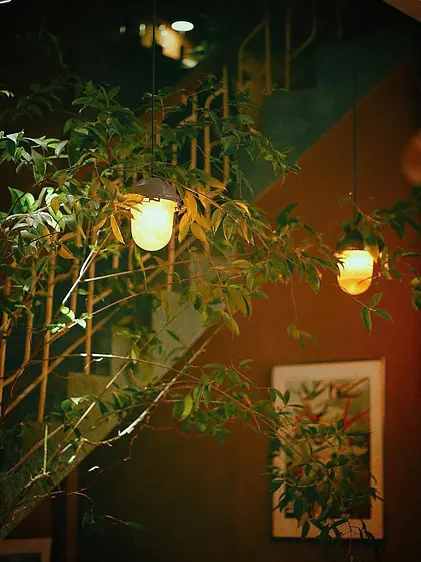 サオサク カフェ＆プランツ