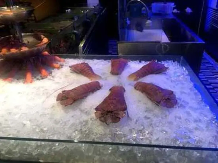 オリエンティカ