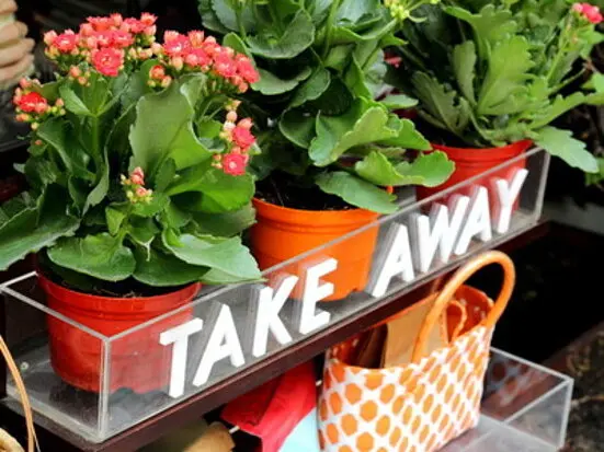 こだわりのシンカフェ・スペシャル・コーヒーを嗜む