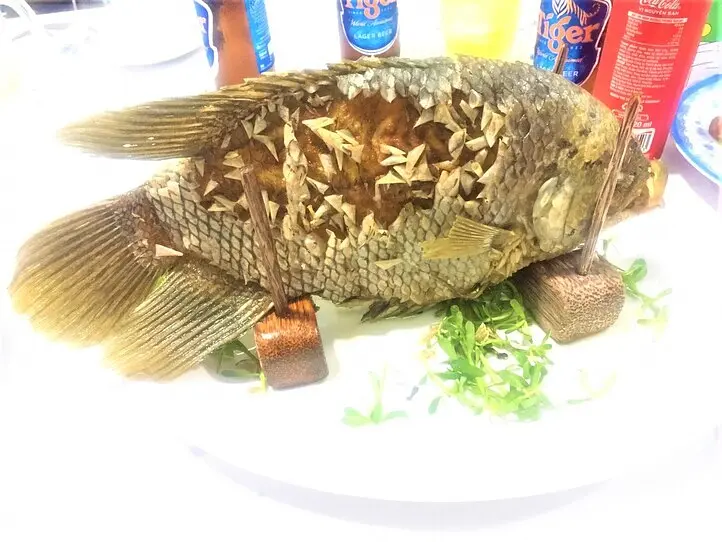 【週末特集】旅をしながら男女が出会える「旅コン」に参加してみた