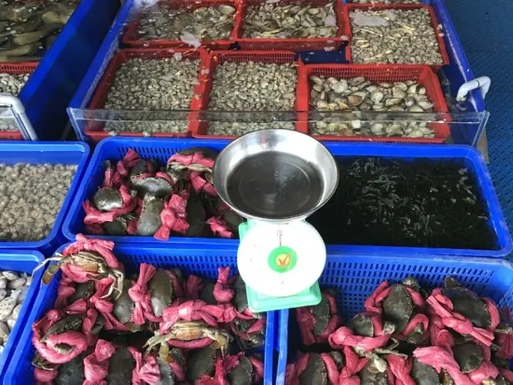 ホーチミンから中部ビーチリゾート・ダナンへ！