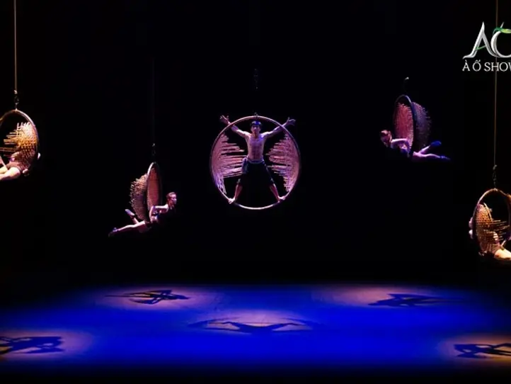 ベトナムの文化と伝統をアクロバティックに「アオショー」