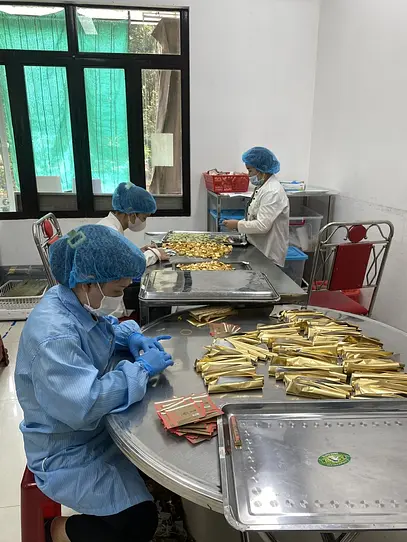 BINON CACAO の物語【前編】— ベトナムの土地と可能性を信じた、ひとりの創業者の挑戦