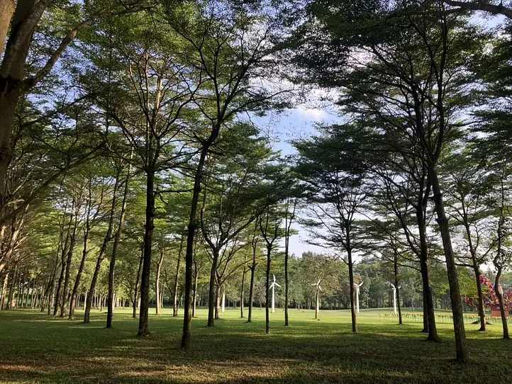 　自然公園にキャンプに行ってみた