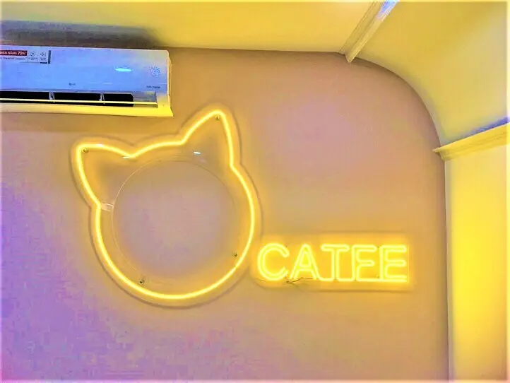 ホーチミンの猫カフェ「CATFE」に行ってみた