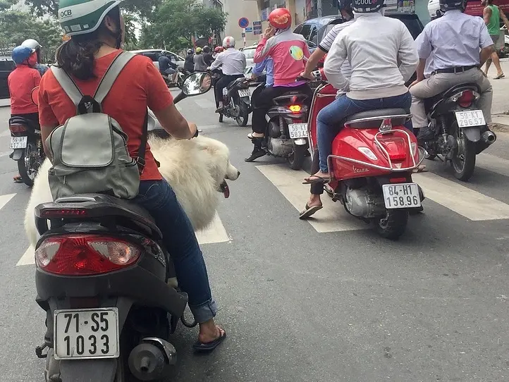 ベトナムの犬の名前事情