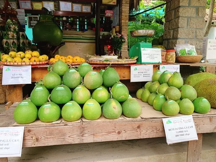 【週末特集】ホーチミンからザボン村まで電車で行ってみよう