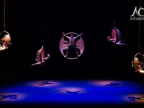 ベトナムの文化と伝統をアクロバティックに「アオショー」