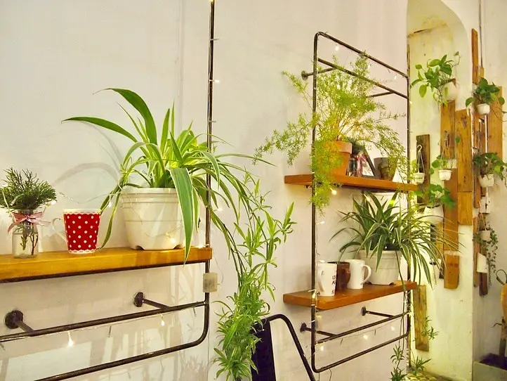 バイクで行く！ホーチミングルメツアー (4時間半)