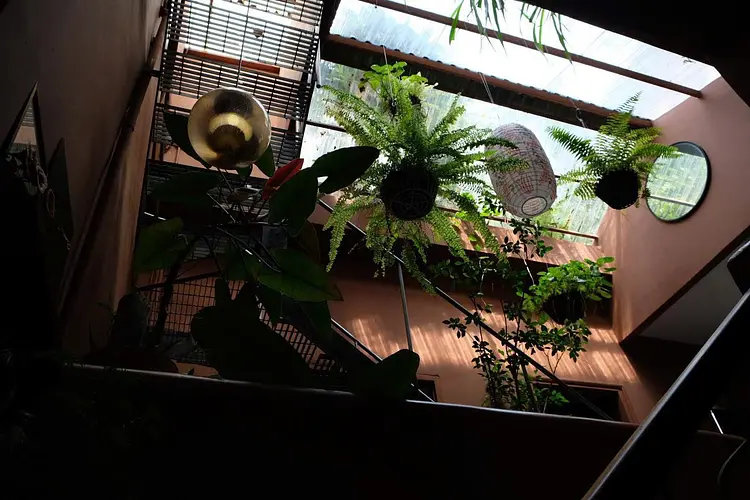 サオサク カフェ＆プランツ