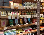 ビノン カカオ