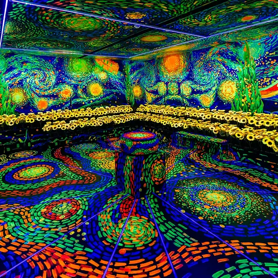 Meta Show（メタショー）｜ホーチミンで話題の体験型アート展