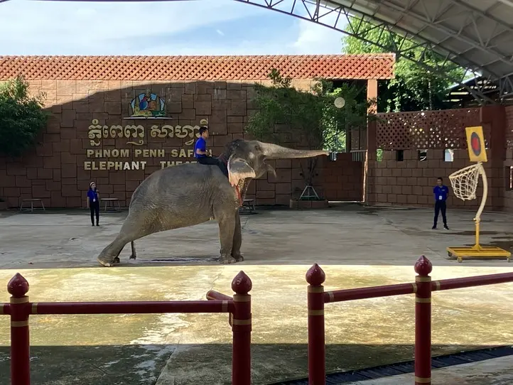 　【プノンペン】本格ショーが見られるサファリが物凄かった