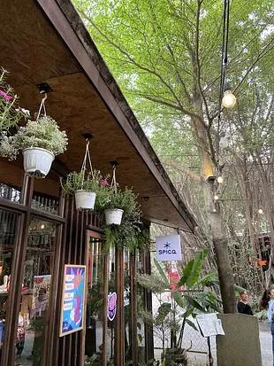 スピカ・スタジオ