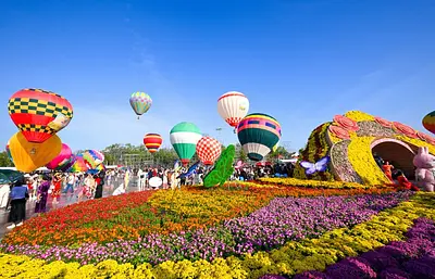 サデック花村 ― メコンデルタに広がる色鮮やかな花の絨毯