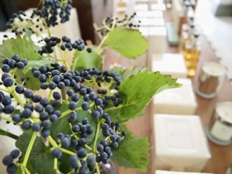 ルー・ジン (レタントン店)