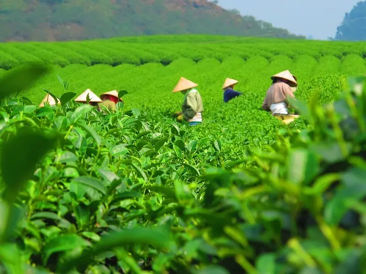 ベトナム旅行のお土産は特産品で決まり！ホーチミンで買える人気アイテム5選