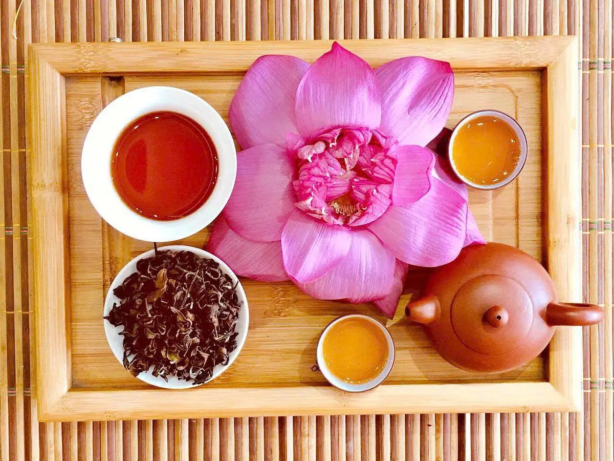 ホーチミンで見つける“お茶”のお土産。旅の余韻を味わえるおすすめ5選