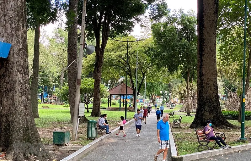 ベトナムの朝を体験！ 路上カフェと活気ある街の風景