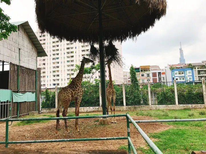 子供から大人まで楽しむことができる、歴史あるサイゴン動植物園