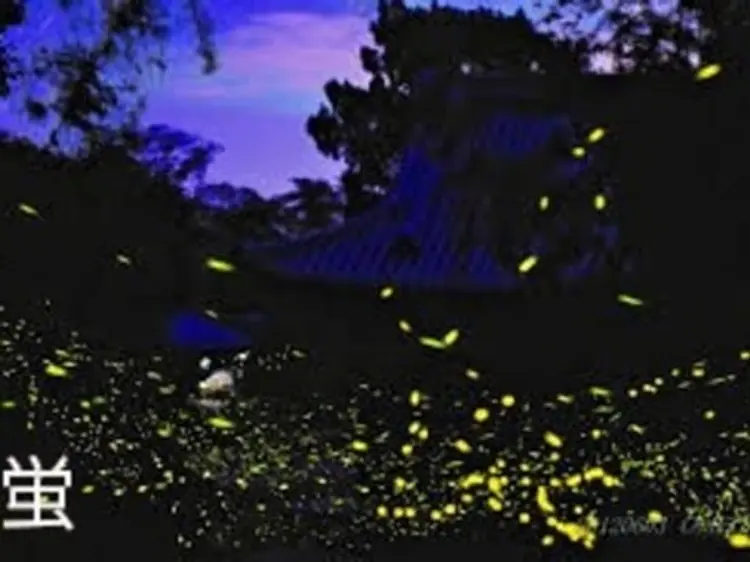 サザンブリーズ