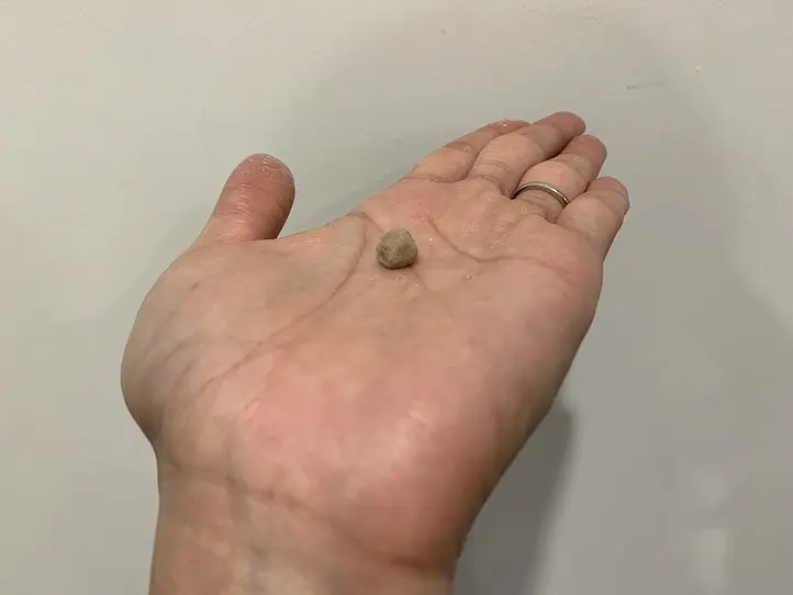 お土産にもぴったり！乾燥タピオカを買って話題のドリンクを自宅で再現してみよう！