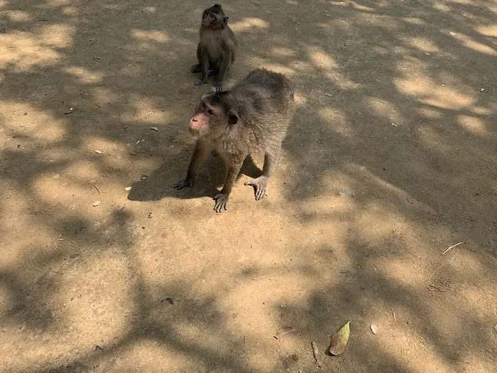 カンザー国立公園にいってみよう
