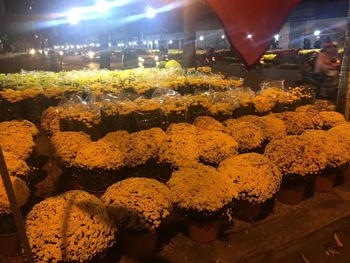 2020年のテト（旧正月）のホーチミンの様子