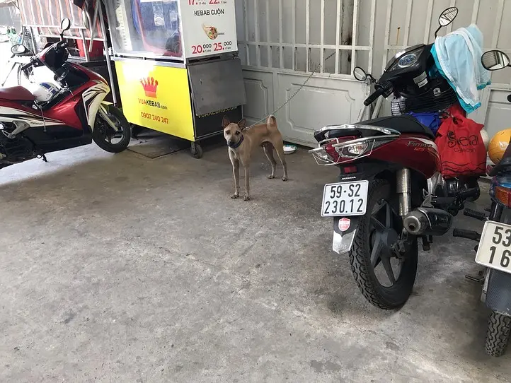 ホーチミンのガラス専門店で掘り出し物を探そう！日々の生活に美しさを見出す〜Govap Glass