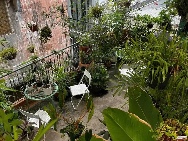 サオサク カフェ＆プランツ