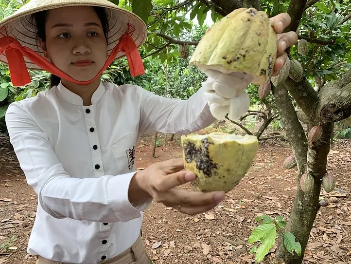 日帰りトリップ！現地ツアーに参加してBINON CACAO PARK(ビノンカカオパーク)でベトナム産カカオについて知ろう！