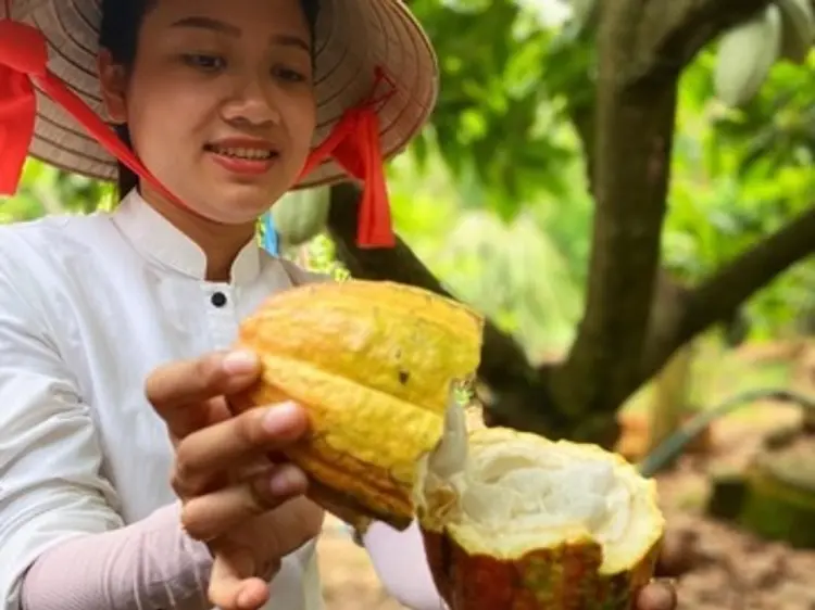 サイゴン・ブルー・トラベル