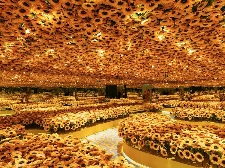 Meta Show（メタショー）｜ホーチミンで話題の体験型アート展