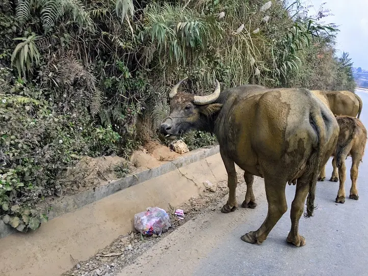 【サパ】美しい田園風景と少数民族に出会える、北部サパのご紹介！