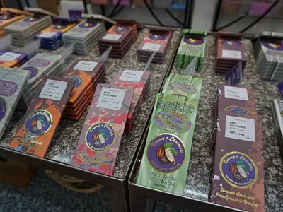 メコン川クルーズ・ツアーに行くならこれがオススメ！〜サイゴンブルートラベルのツアーに参加してみた〜