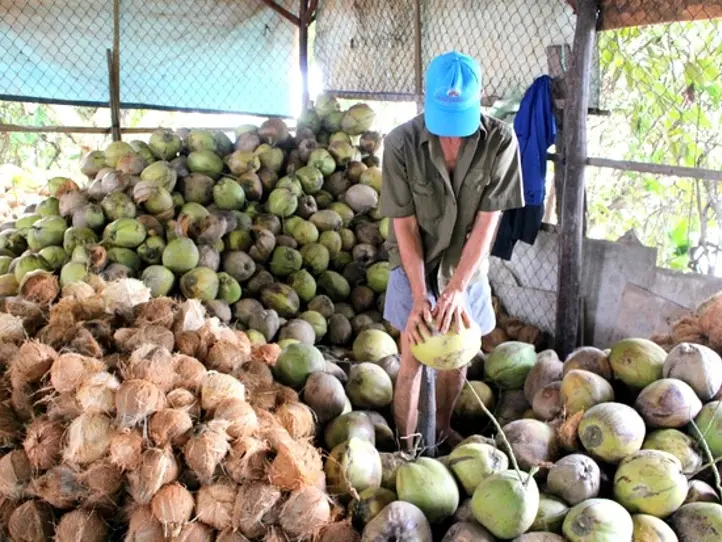 ホーチミンの１番人気の定番現地オプショナル・ツアー！メコン川クルーズ・ツアー