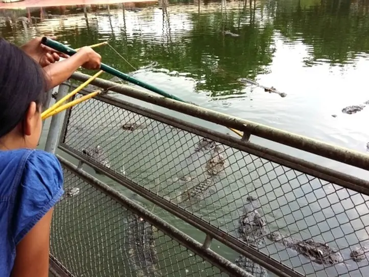 注目度バツグン！スイティエン公園
