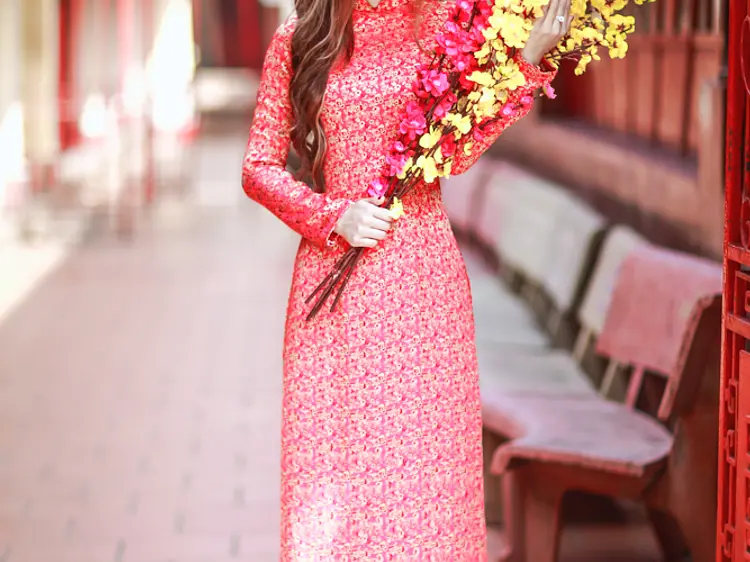 アオザイレンタル・チャンフック・サイゴン 1993