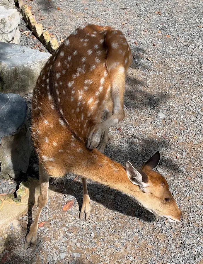 Đầm Sen（ダムセン）と Suối Tiên（スオイティエン）、どちらに行くべき？