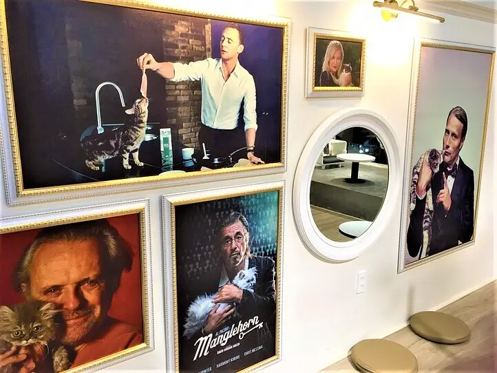 ホーチミンの猫カフェ「CATFE」に行ってみた