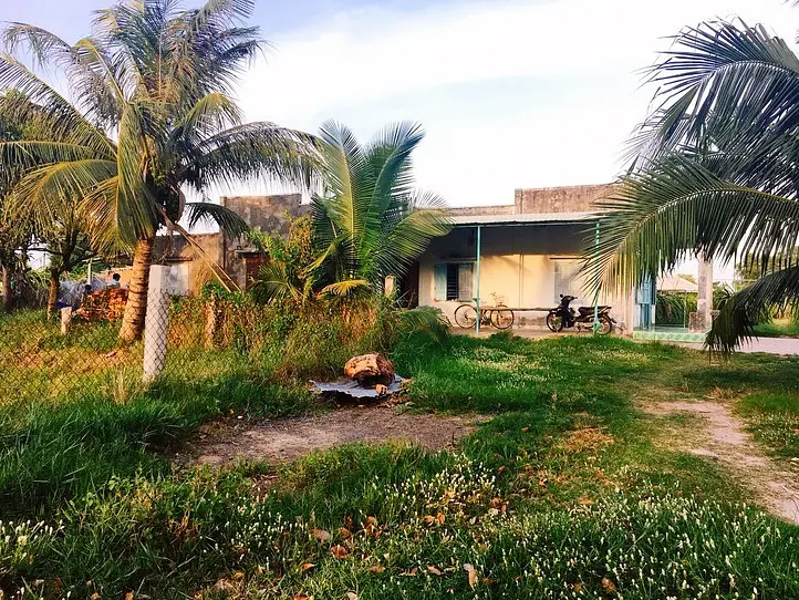 ドラゴンフルーツ畑に行ってみた