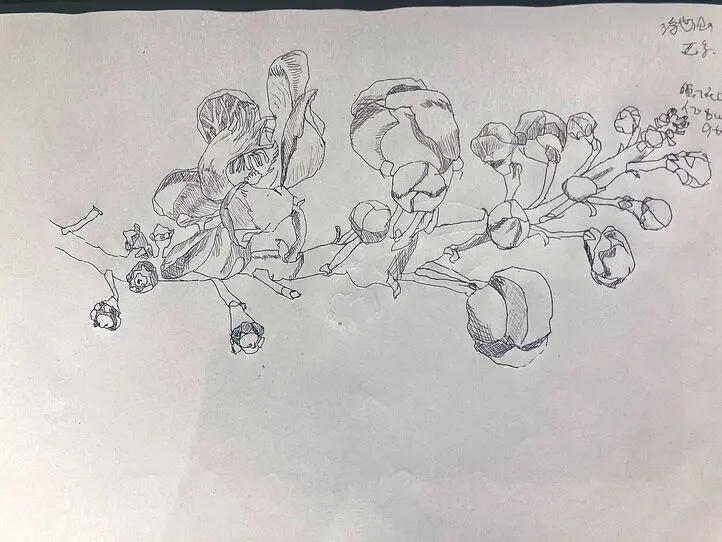 　ホーチミン市内バスに乗ってみた＆郊外の公園に行ってみた