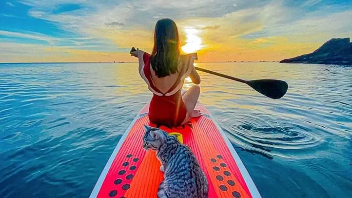 ホーチミン近郊キャンプ完全ガイド｜ビンズオン省・ダウティエン湖で楽しむ自然キャンプ体験