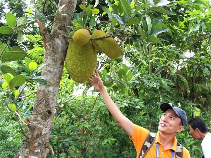 ホーチミンの１番人気の定番現地オプショナル・ツアー！メコン川クルーズ・ツアー