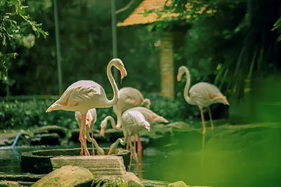 ホーチミン初めての旅行で必ず行きたい観光地ベスト10